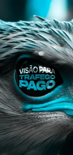 Capa do curso Visão para Tráfego Pago